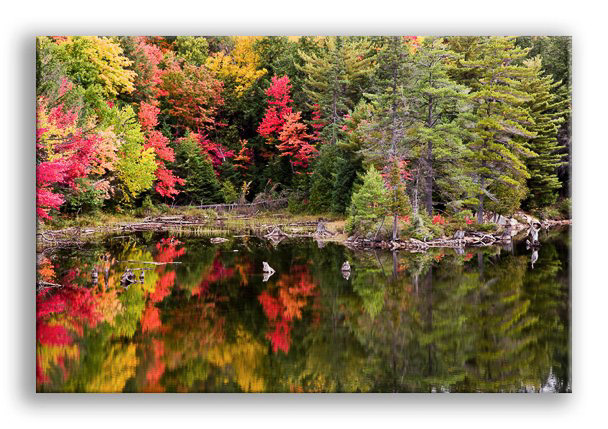 Algonquin_Refections