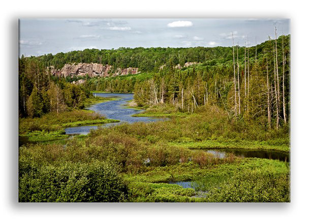 Looking_Down_River